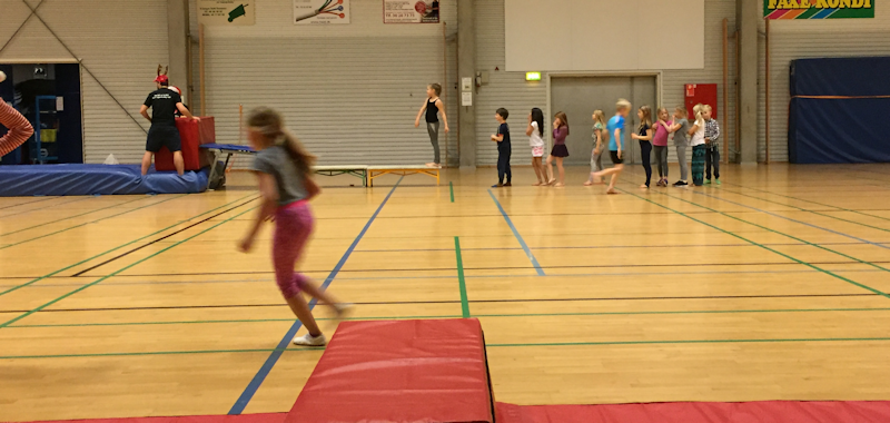 Micro fræs Sjov & leg gymnastik
